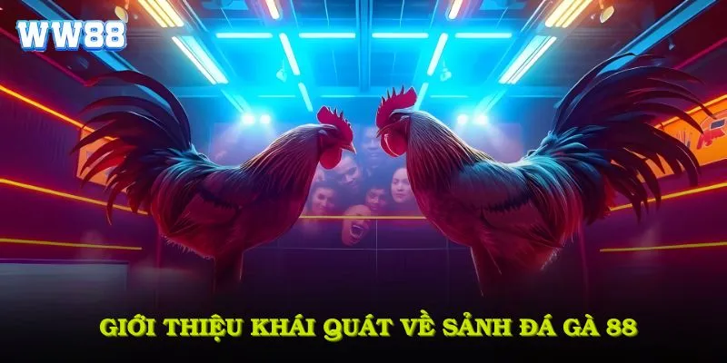 Giới thiệu khái quát về sảnh đá gà 88