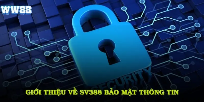 Tổng quan chi tiết về chính sách bảo mật tại WW88